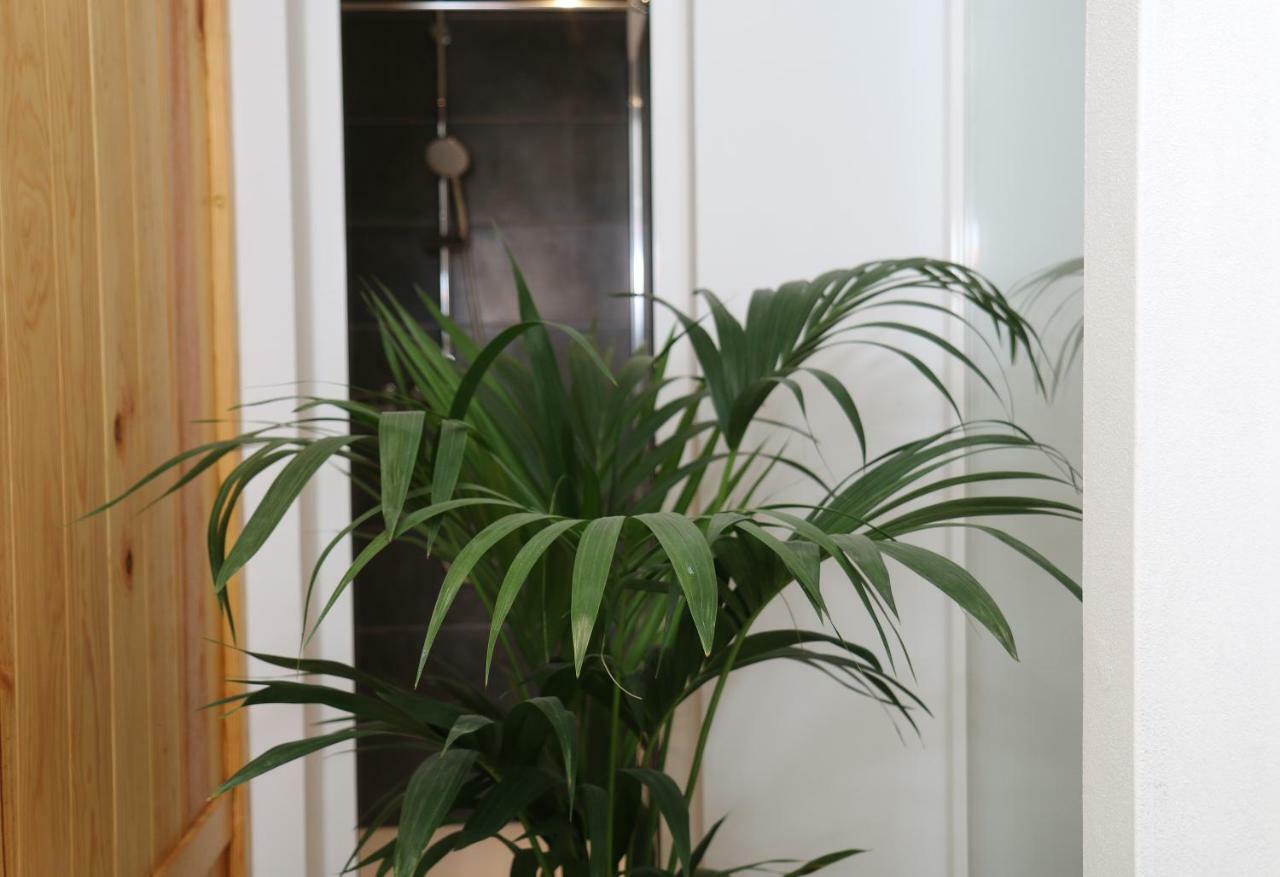Apartamento Valeria Puerto del Carmen  Extérieur photo